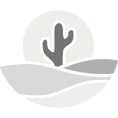 A greyscale image of a desert with a cactus against the setting sun. Used here as a symbol for gaps faced by private valuation.